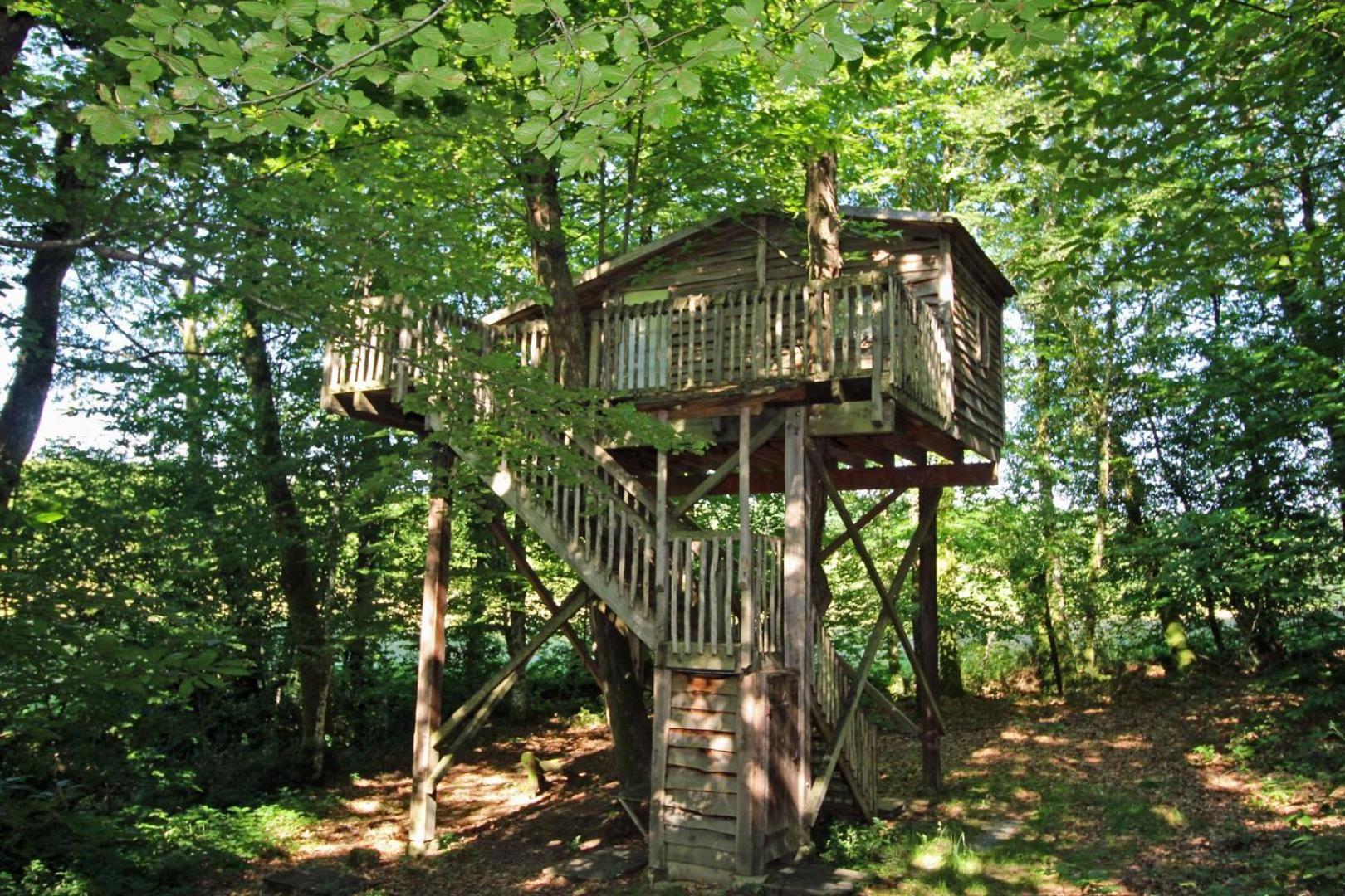 La Grande Foret Saint-Jouvent Luaran gambar